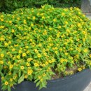 서구 신촌어린이공원 이미지