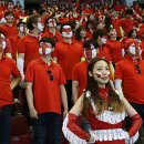 서울종합TV 이미지