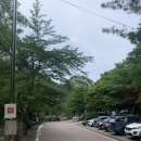 [강원/정선] 약수가 흐르는 &#39;화암약수야영장&#39;