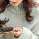 좋은들