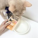 냥스타그램 | 내추럴발란스 “쉐지애 펑션 다이제스티브 호박&amp;밀싹 고양이 파우치” 솔직 후기