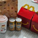 윌토피아 | 맥도날드 4월 해피밀 윌토피아 플레이모빌 북극곰 사자 후기