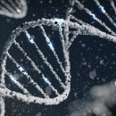 천호헬스 이미지