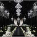 벨라마레 이미지