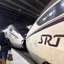 한국교직원공제회관(부산) | 담당 이슈로 주말 부산 여행 다녀온 건에 대하여...최고돼지국밥 본점, 모모스커피 본점 내돈내산 후기)