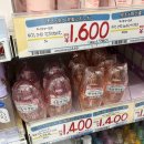일본 오사카, 교토 돈키호테 쇼핑리스트 생콜라 가격 면세 택스리펀 할인쿠폰