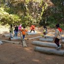 용인아이숲유아숲체험원 이미지