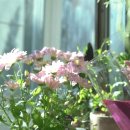 유의조농장 이미지