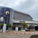 국립해양박물관 화장실(외부) | 국립해양박물관 수유실 위치, 정보, 청결도, 사용후기, 유아휴게실