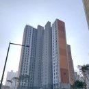 김포금빛초등학교 이미지