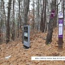 청송슬로씨티