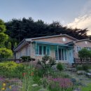 다솔민박 이미지