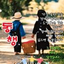 화천파크 이미지