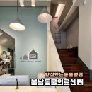 봄날동물의료센터 | 평택 과잉진료 없는 동물병원에서 강아지 귀 치료 후기 봄날동물의료센터