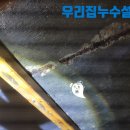 쌍미천로 이미지