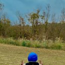 대왕목장 이미지