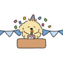 원주족발맛집 이미지