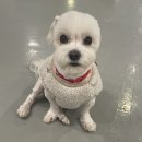 멍더캐슬 이미지