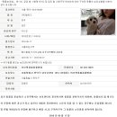 러브펫종합동물병원 이미지