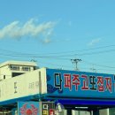 종대약국 | 24년 2월 부산여행, 3월 경주 감포여행 사진정리