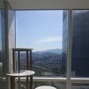 고양이 놀이터 이미지