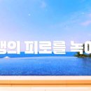 엔피투어 이미지