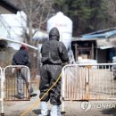 양영석농장 이미지