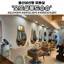 울산 오뜨살롱드슈슈 임산부염색 가능한 삼산동 미용실 추천