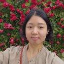 곡성-259 | 곡성 기차마을 장미축제, 옥정호 작약꽃밭 양귀비 붕어섬까지~~ 둘러보는 코스!