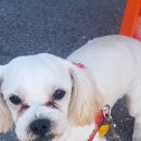 원정6리마을회관 이미지