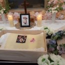 화장농장 이미지