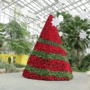 영흥수목원 전시온실 이미지