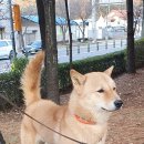 목행산단5로 이미지