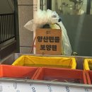 엄마사랑건강원 | 부산 장어즙 연말 부모님 선물로 딱! 부전시장 양산민물 보양원