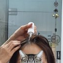 두피 랑 모발을 함께하는 미용실&lt;히즈윌 헤어&gt; 후기/광주 북구 용봉동 미용실 그리고 근처 게장백반에서...