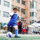 서울신묵초등학교 이미지