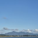 회산백련지 잔디광장 이미지