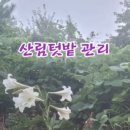 더드림팜 이미지