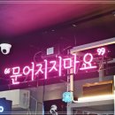 문어천하 이미지