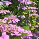 수안영농조합법인 이미지