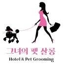 그녀의펫살롱 | 그녀의 펫살롱 직접 다녀온 공간 구성 후기