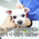 또또PC 이미지