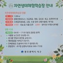 풍암호수작은도서관 | 광주 풍암호수공원 벚꽃비 맞으며 산책♡봄이네요♡(25.4.9.수 벚꽃 개화 실시간)