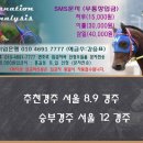 ♣ 01월 13일 토요일 추천마번 이미지