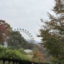 곡현로 | [에버랜드 꿀팁] 에버랜드 할인 | 오픈런 후기 | 무료주차장 정보 | 어트랙션 추천 | 먹거리 정보