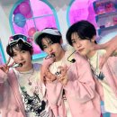 큰손묵집 이미지