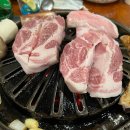 생포탄 티스토리