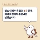 표선충흔묘지 단일로 | 벌초 대행 비용 봉분 1기 얼마, 예약 마감까지 주말 4번 남았습니다