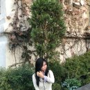 당신의 행복을 기원합니다