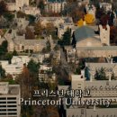 2007-주007 이미지